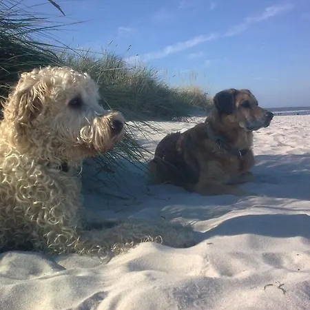 Nebengebaeude Apartman Mönkebude