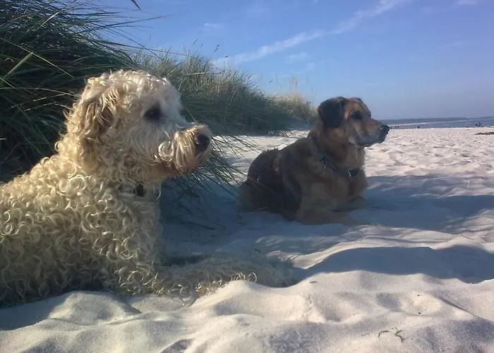 Nebengebaeude Appartement Mönkebude